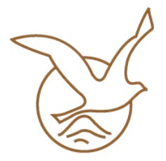 Boutique Chemins de Dialogue